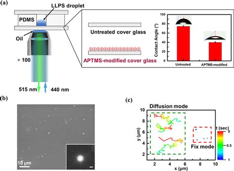 LLPS droplet detection at the solid/liquid interface by a fluorescence ...