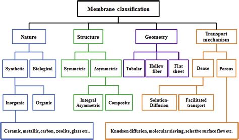 Membrane classification. | Download Scientific Diagram