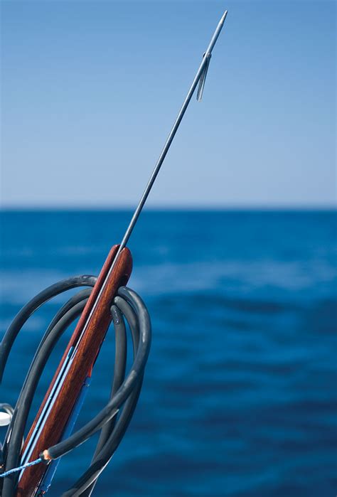 Don't Fear the Spear, Spearfishing Near Tampa Bay- Tampa Magazine