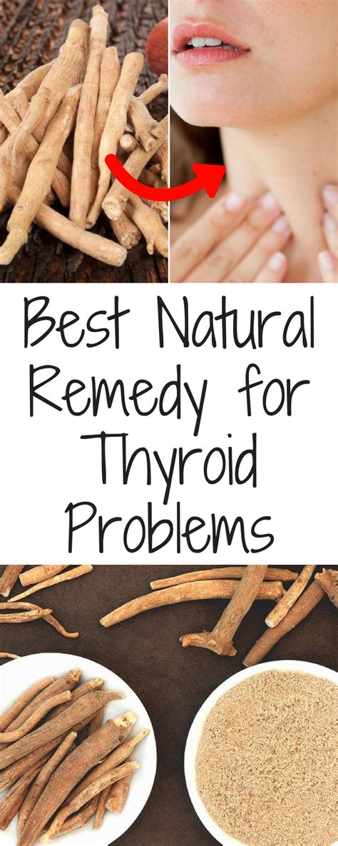 Herbal Remedies For Thyroid Disorders