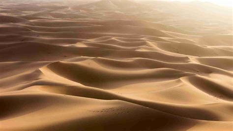 12 Facts About the Sahara Desert - Greatslist