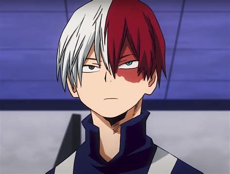 Who is Shoto Todoroki in My Hero Academia?