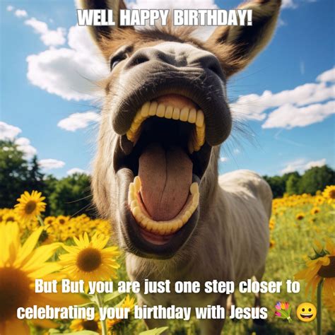 Happy Birthday Images Funny - Infoupdate.org