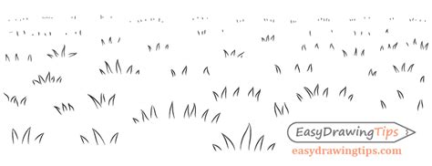 How to Draw Grass in 3 Different Ways Tutorial - EasyDrawingTips