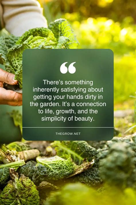 30 Gardening Quotes to Live By | TheGrow