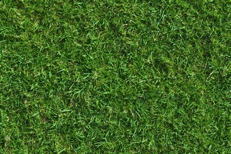 HIGH RESOLUTION TEXTURES: Green lush grass texture