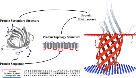 Secondary Structure Of Protein