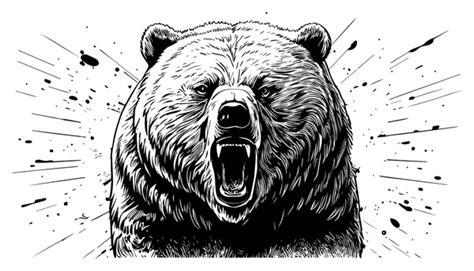 Angry Bear Drawing: Over 8,851 Royalty-Free Licensable Stock ...