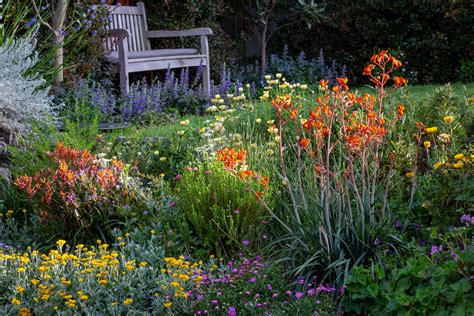 Australian Native Plants For Cottage Gardens - Image to u