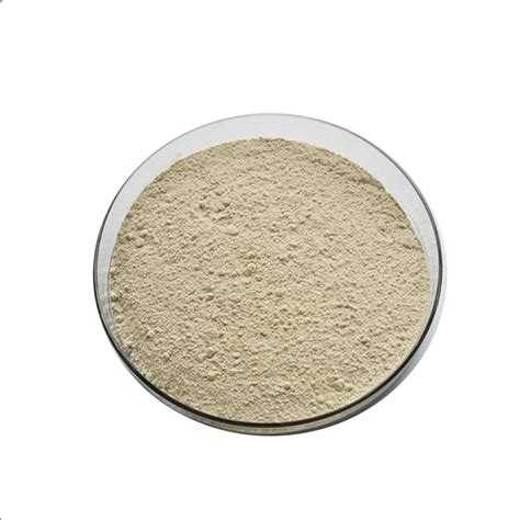 Bromelain enzyme powder - Xi'an Core Pure Bio & Tech -Professional in ...