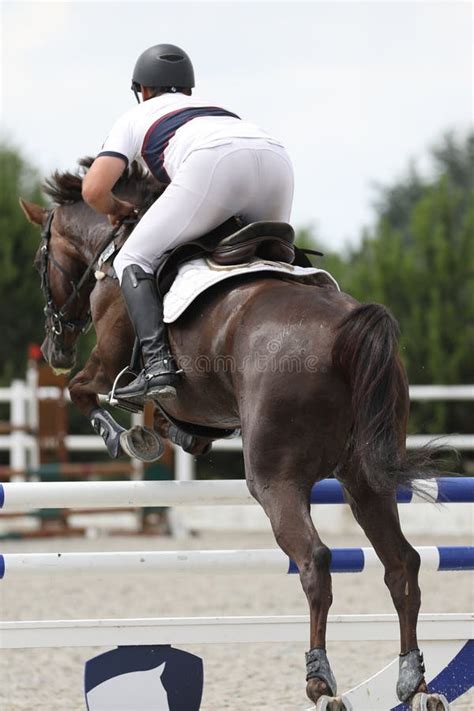 Horse and Rider on a Horse in Show Jumping Competition Stock Image ...