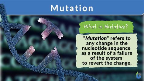 Mutation - Definition and Examples - Biology Online Dictionary