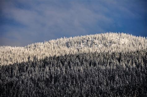 Canada: These Winter Wonderland Photos will Blow You Away