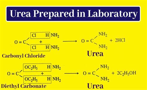 What is Urea || How to make Urea Fertilizer, || Urea uses|Chemistry Page