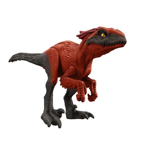 Jurassic World Dominion Roar Strikers Megaraptor Dinosaur Action Figure ...