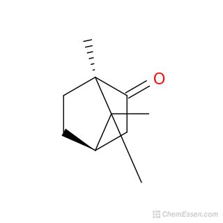 Camphor Structure - C10H16O - Over 100 million chemical compounds | CCDDS