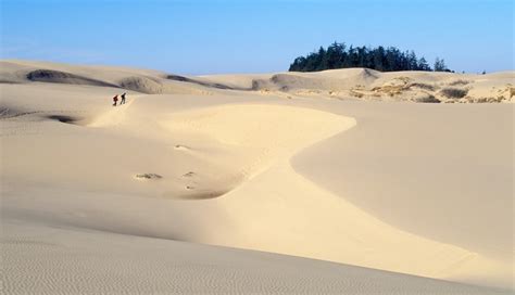 A Local’s Guide to the Oregon Dunes - Travel Oregon