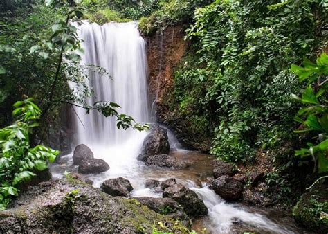 10 Best Waterfalls in Goa - Tusk Travel