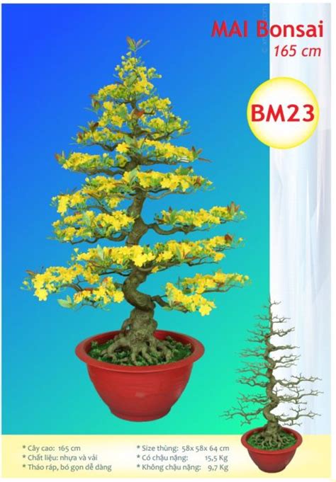 Cây Hoa Mai Bonsai Nhựa Giả Cao 1m65,Cây Hoa Mai Trang Trí Tết | Lazada.vn