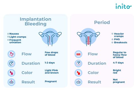 Implantation bleeding Vs Periods | What Does Implantation Bleeding Look ...