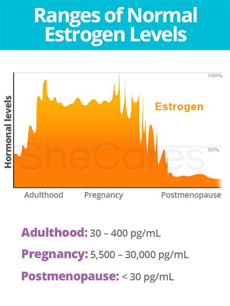 Estrogen Levels | SheCares