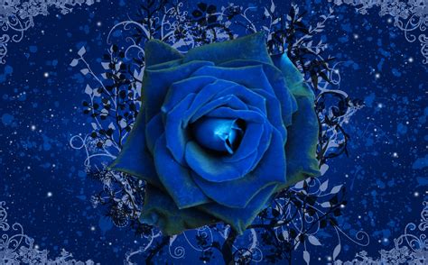 Blue Rose Wallpapers - Wallpaper Cave