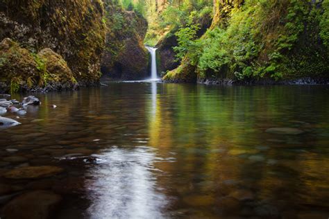 AllTrails Journal – Mount Hood National Forest Located just 60 miles...