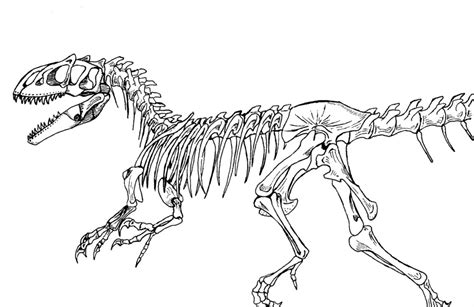 Dinosaur Skeleton Drawing at GetDrawings | Free download