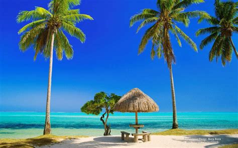 [300+] Tropical Beach Wallpapers | Wallpapers.com