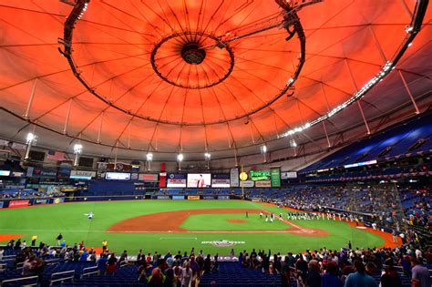 Tampa Bay Rays Stadium - Kalehceoj