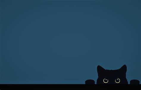 Cat Minimalist Wallpaper | PixLith