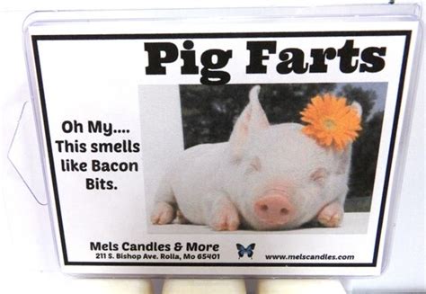 Pig Farts 3.2oz Pack of Soy Wax Tarts Bacon Bit by MelsCandlesMore