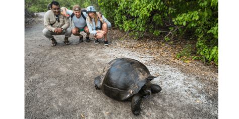 Guide and tourists watching a giant tortoise in Galapagos Islands