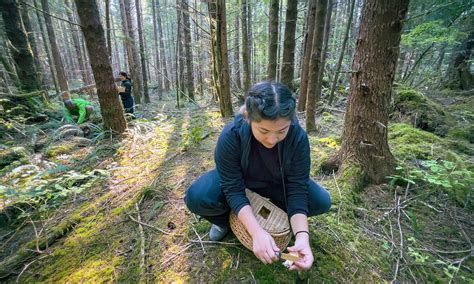 Essential Foraging Tools: 5 Must-Have Items for Successful Wild Food ...