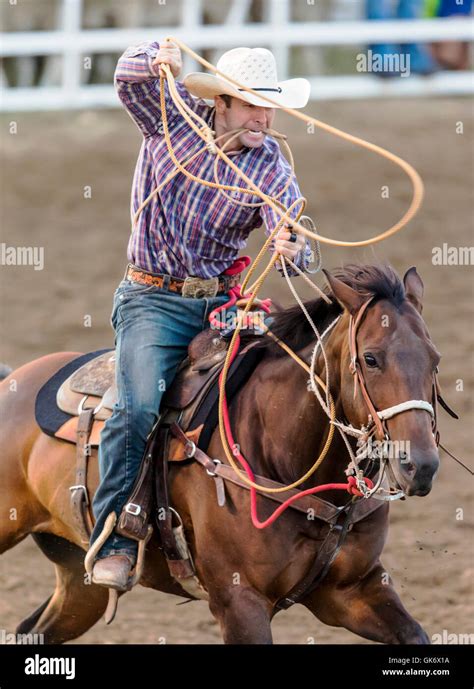 Rodeo Calf Roping