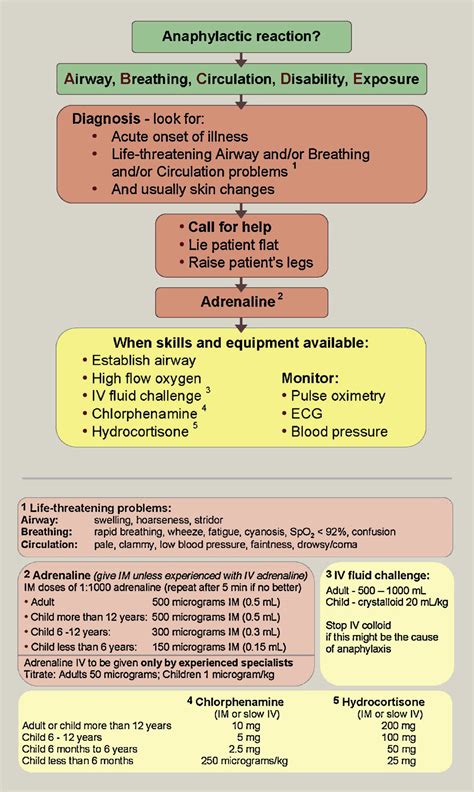 Anaphylaxis Algorithm : Asthma And Anaphylaxis - Asthma Lung Disease ...