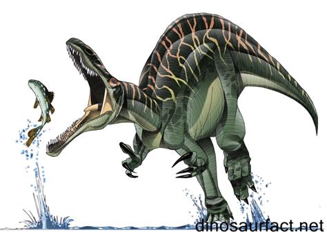 Suchomimus dinosaur