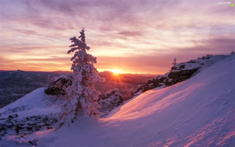 trees, Sunrise, Mountains, Snowy, winter - For phone wallpapers: 1920x1200