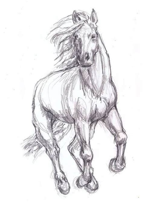 Running Horse Sketch. - Etsy