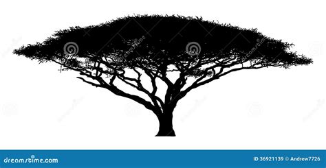 Silhouette Of The Tree-acacia Royalty Free Stock Images - Image: 36921139