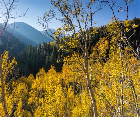 Fall Hikes, off the Beaten Path - Crazy About Colorado