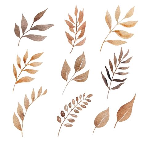 Premium Vector | Watercolor boho brown coffee autumn leaves set