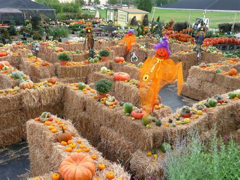 Fall festival to feature hayride, maze, petting zoo | Blue Ribbon News