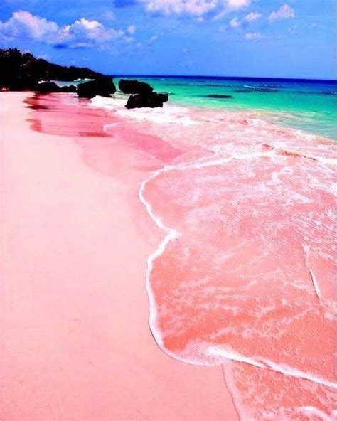 Pink Sands Beach in the Bahamas | Places to travel, Beautiful beaches ...