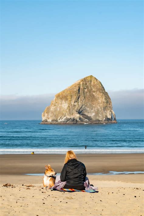 12 EPIC Campgrounds at the OREGON Coast (Local's Guide)