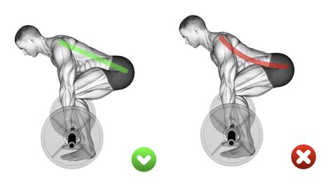 Anatomy Of A Deadlift - Aptitude Health & Fitness