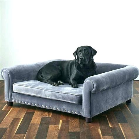 Large Dog Sofa Bed