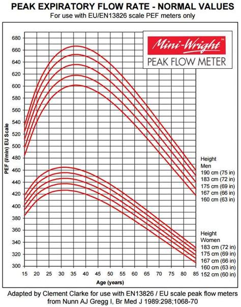 Peak Flow Diary | Asthma Peak Flow Meter Readings | Patient