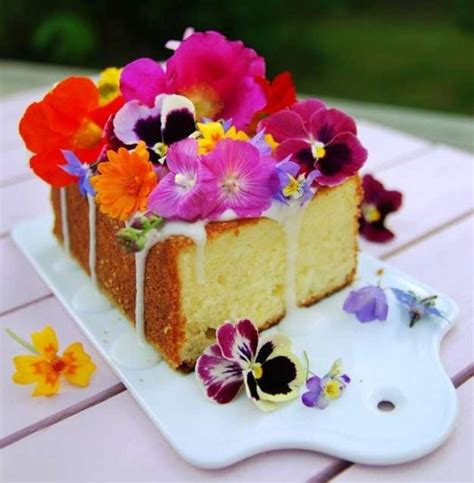 20 Edible Flowers That Are Almost Too Pretty to Eat - Delishably