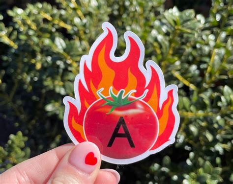 ATOMATOFLAMES Aviation Acronym Sticker A TOMATO FLAMES 91.205 Custom ...